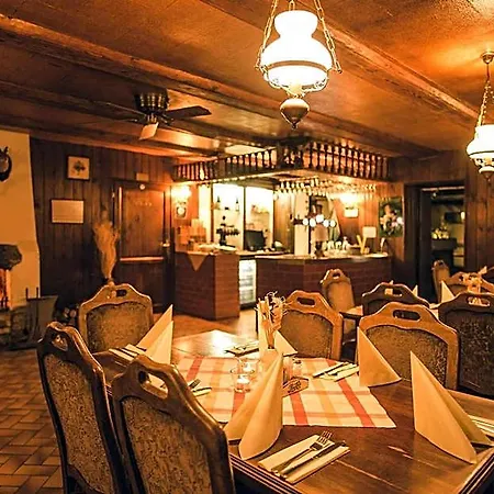 Hotel Dymnik