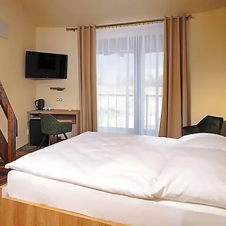 Hotel Dymnik *